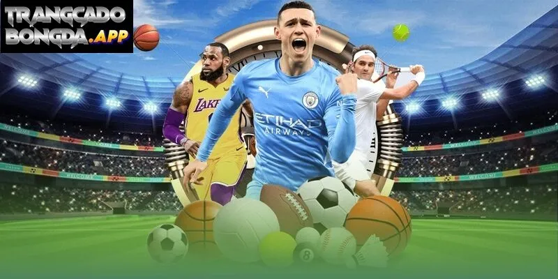 Chuyên trang đánh giá độ uy tín của nhà cái theo nhiều tiêu chí