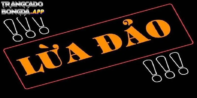 Nhận biết nhà cái lừa đảo thông qua giao diện đơn giản